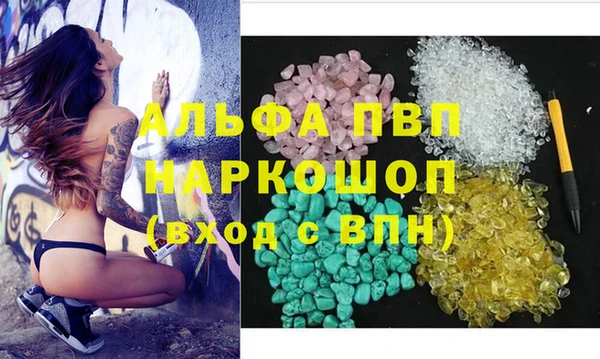 спиды Сосновоборск