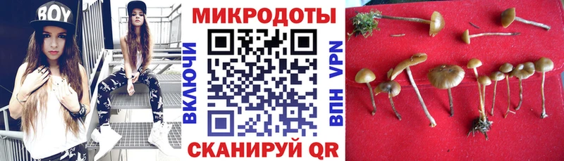 Галлюциногенные грибы GOLDEN TEACHER  Купить где  Оленегорск 